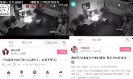 天涯爆料粮食是真的吗视频,粮食真相揭秘，视频揭露惊人内幕